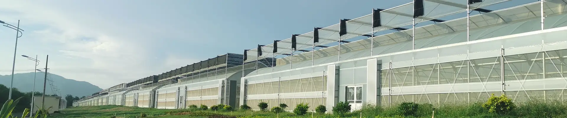 Rumah Kaca PC