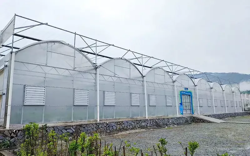 Apa karakteristik rumah kaca film plastik multispan?
