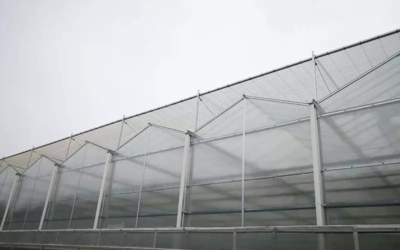 Teknologi Greenhouse PC Lanjutan Perintis Pertanian Berkelanjutan