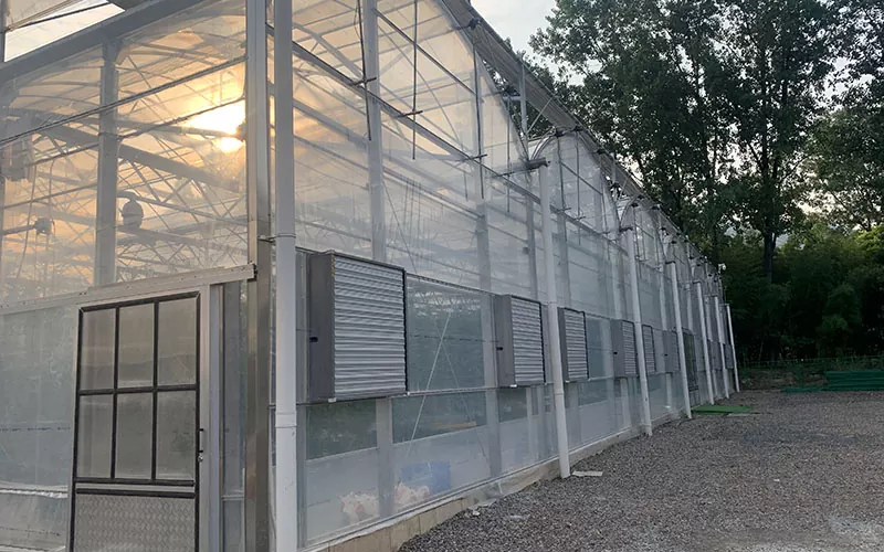 Penjualan Terlaris Kipas Ventilasi Kipas Knalpot Dorong Tarik Rumah Kaca